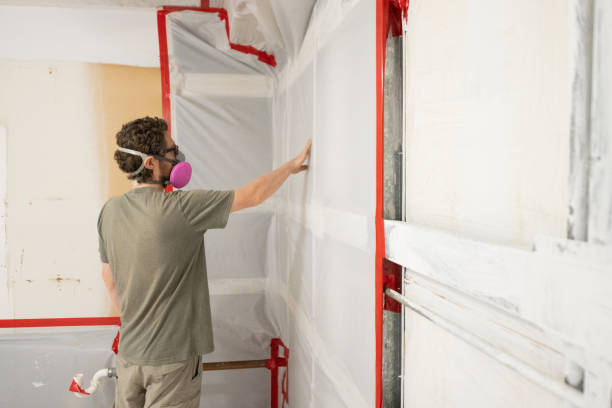 Best Mold Remediation for Rental Properties  in Hildebran, NC