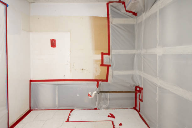 Best Commercial Mold Inspection  in Hildebran, NC