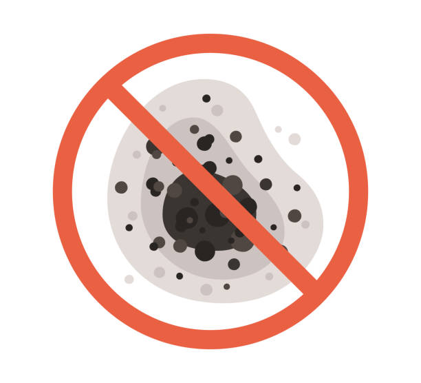 Trusted Hildebran, NC Mold Removal Experts